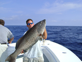 big gag grouper bald head island southport nc
